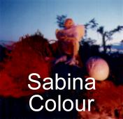 Thumbnail of man dressed as bird sitting on tree stump - link to Sabina's Colours
